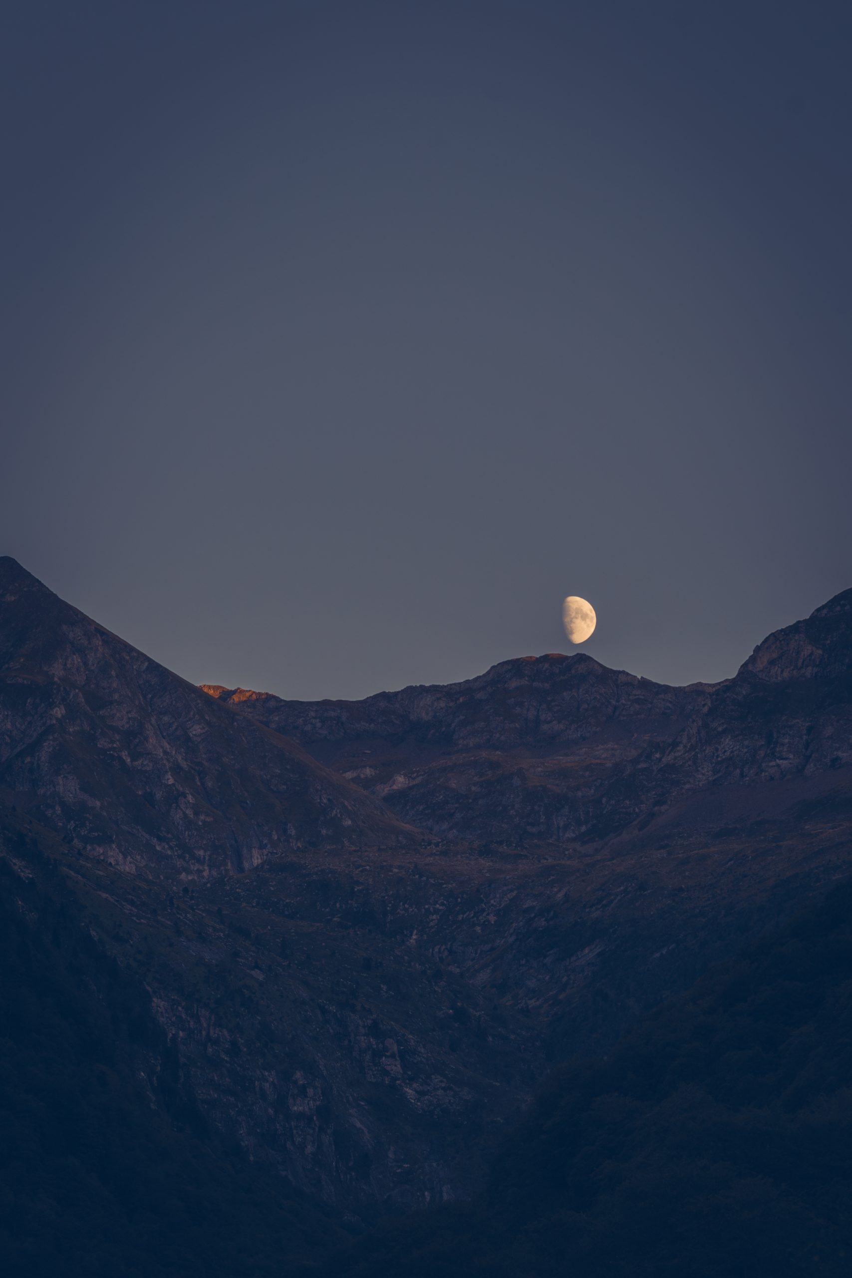 DSC04577-Avec accentuation-Bruit