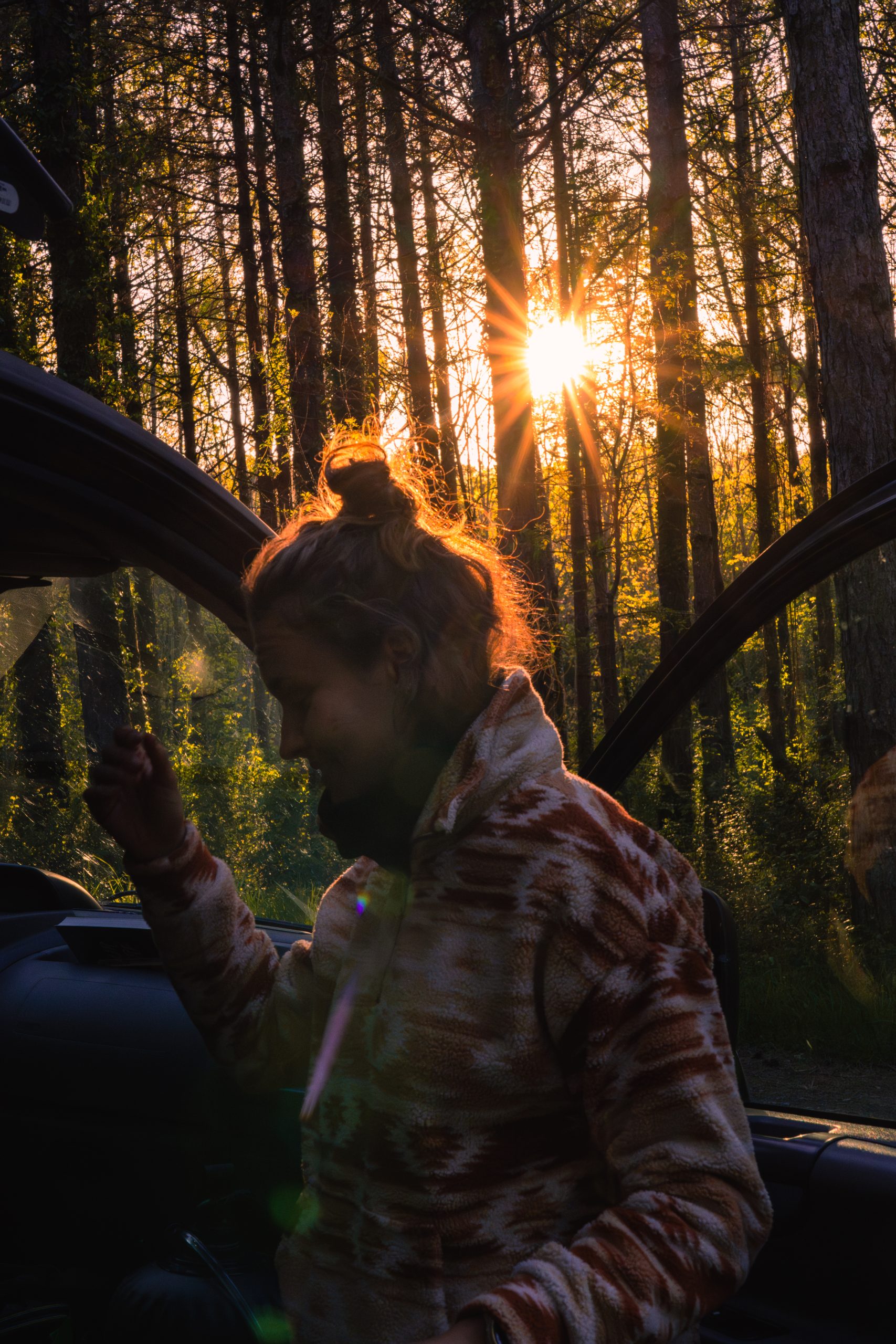 DSC08021-Avec accentuation-Bruit